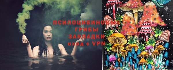 таблы Осинники