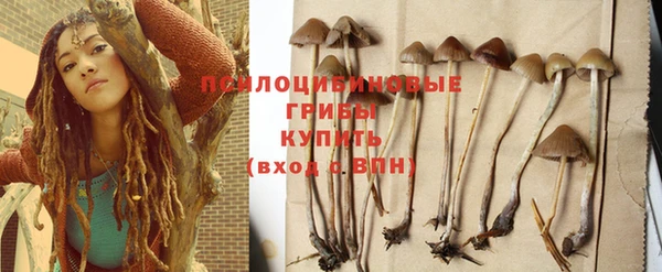 mix Абаза