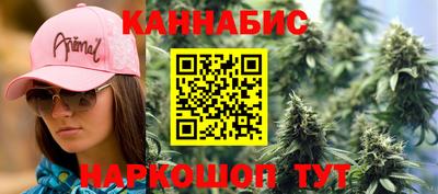 стафф Краснознаменск
