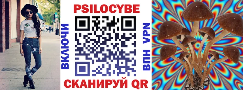 купить наркотик  Рассказово  мориарти какой сайт  Псилоцибиновые грибы прущие грибы 