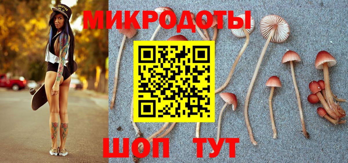 Рассказово  Галлюциногенные грибы Magic Shrooms  Галлюциногенные грибы мухоморы  Вход с VPN 