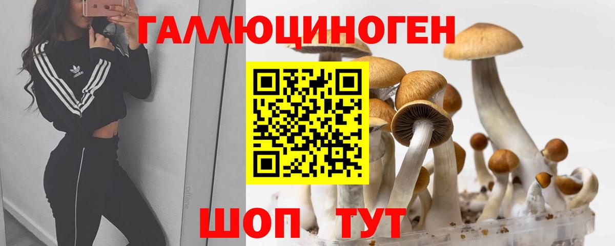 Псилоцибиновые грибы GOLDEN TEACHER Рассказово